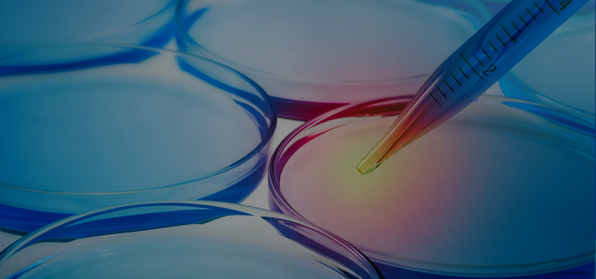 中國(guó)紡織工程學(xué)會(huì)